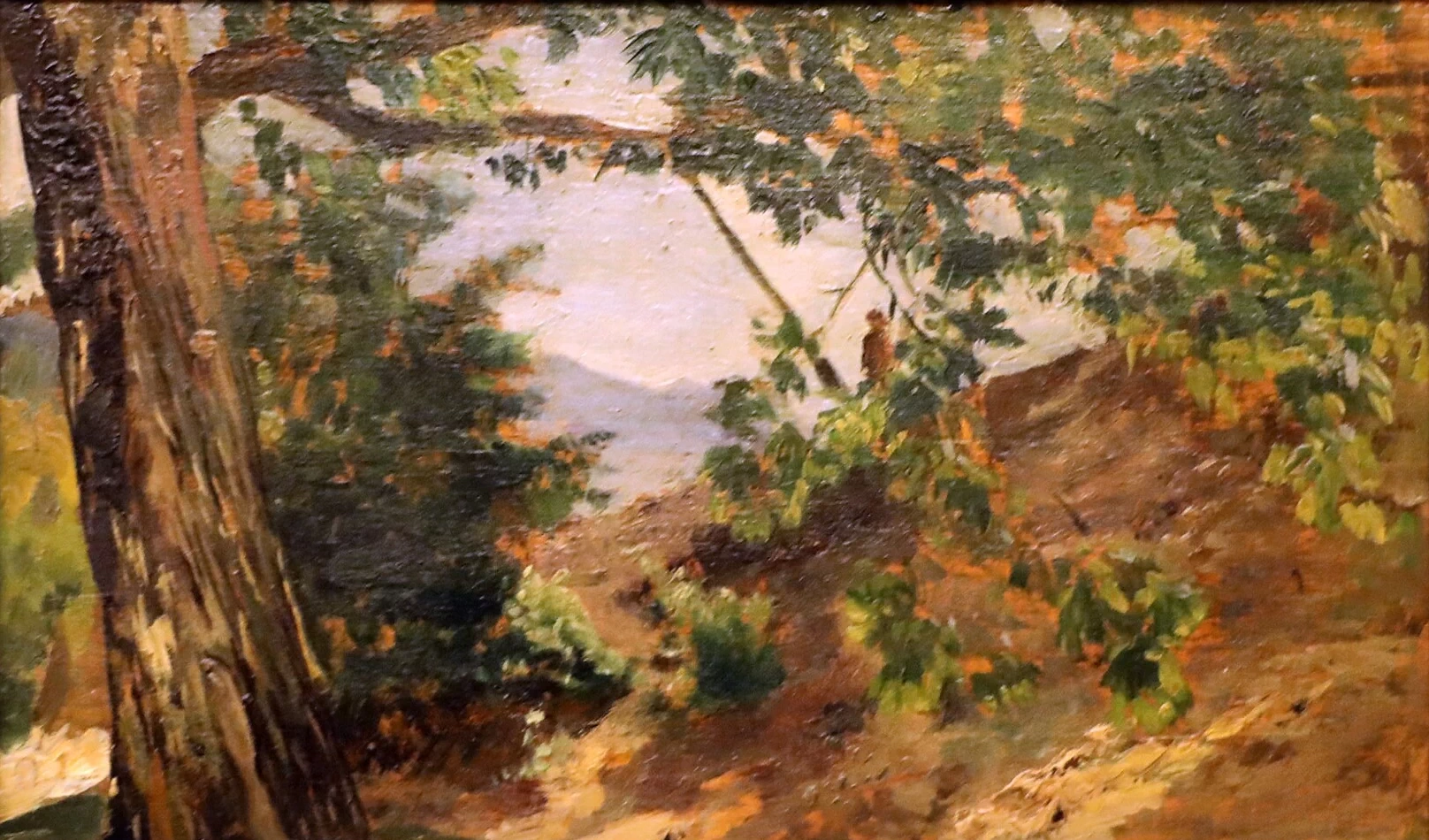 Stefano - 114, Studio di bosco con albero, 1853, Museo Nazionale di Palazzo Mansi , Lucca